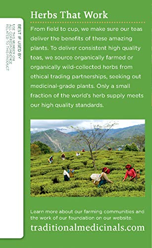 Traditional-Medicinals-Organic-Green-Tea-Lemongrass-Tea-16-Tea-Bags-Pack-of-6