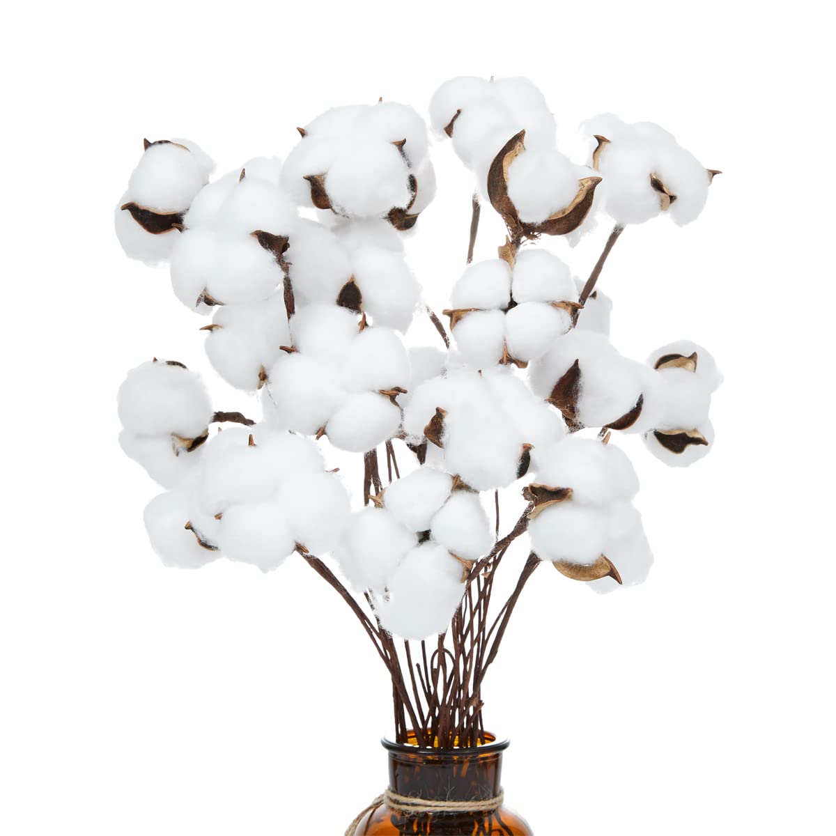 Ruiuzioong Natural Dried Cotton Stem Farmhouse Artificial Flower Filler Floral Arrangement DIY Home Party Decor (20pcs pack) — image 1