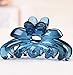 Prettyou 2.7 Inches Middle Size Plastic Resin Hair Claw Clip for Women, 4 Count