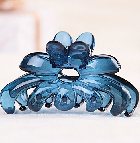Prettyou 2.7" Middle Size Plastic Resin Hair Claw Clip for Women, 4 Count