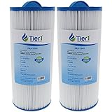 Tier1 Replacement for Jacuzzi J300 6541-383 Spa Filter for J300 Series Jacuzzis, 2 Pack