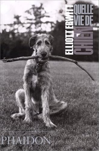 Download Quelle vie de chien (Ancien prix éditeur : 12,95 euros) PDF
