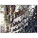 EAROOMZE Mens 3D Lightweight Hunting Suit Airsoft Sniper Ghillie Breathable Camouflage Clothing
