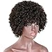 AISI HAIR Curly Wig Short Afro Kinkys Curly Hair Wig Natural Black Short Curly Wig African American Wigs Curly Afro Wig for Black Women
