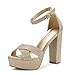 DREAM PAIRS Women's Hi-Go High Heel Platform Pump Sandals