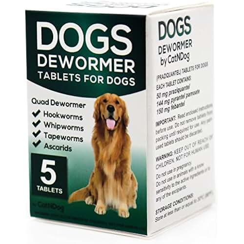 hookworm medicine for dogs