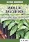 Livro ORIENTAÇÕES PARA PRODUÇÃO DE MUDAS DE ABACATEIRO