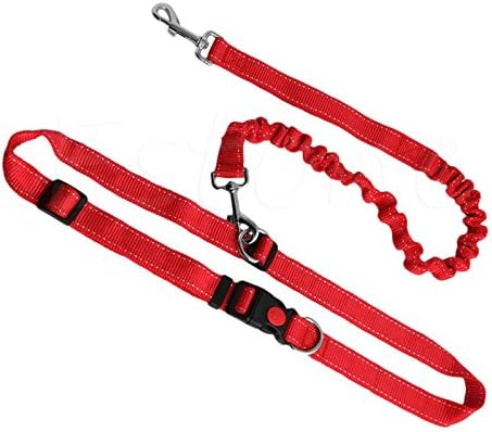 Hands Free Dog Leash - Excellent for Training, Walking, Hiking, Running, Jogging - Heavy Duty Strap, Handle, Rope, Harness Lead Strap - Pet Collar, Adjustable (Red)