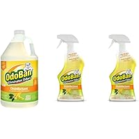 OdoBan Ready-to-Use 32oz Spray Bottle 2-Pack and 1 Gal Concentrate, Citrus Scent