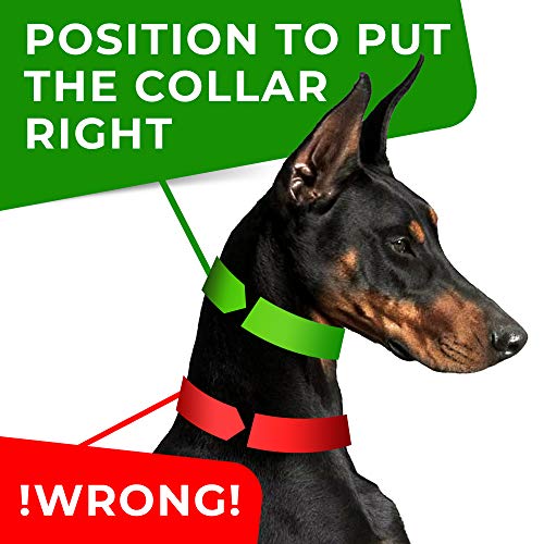 Dog Prong Training Collar Adjustable for Large, Medium and Small Dogs
