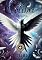 Livro COLIBRI: A Escolha
