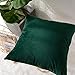 MERNETTE New Year/Christmas Decorations Velvet Soft Decorative Square Throw Pillow Cover Cushion Covers Pillowcase, Home Decor for Party/Xmas 20x20 Inch/50x50 cm, Dark Green, Set of 2