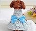 New Spring Summer Pet Dog Skirt Lady Dog Dress Floral Skirt Small Dog Princess Bow Dress Blue XL