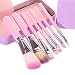 Fani Makeup Brushes 7 Pieces Travel Makeup Brushes Set with Box Professional Foundation Cosmetic Brushes Eyeshadw Brush Lip Brush for Powder Liquid Cream Blending