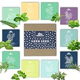 Urban Leaf - Herb Garden Seeds for Planting Indoors or Outdoors | Dwarf and Compact Varieties | 10 Essential Culinary and Medicinal Herbs incl Basil, Mint and Cilantro | Non GMO