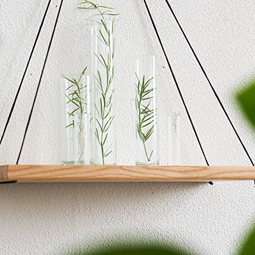 Modern Wall Hanging Shelf Wood Plant Holder Indoor 14x6 Inch Dark Mid Century Decorative Wooden Mounted Swing Shelves Centerpiece Pot Coaster for Home Decor Living Room Bathroom Bedroom