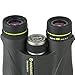 Vanguard 8x42 Spirit ED Binocular (Black)