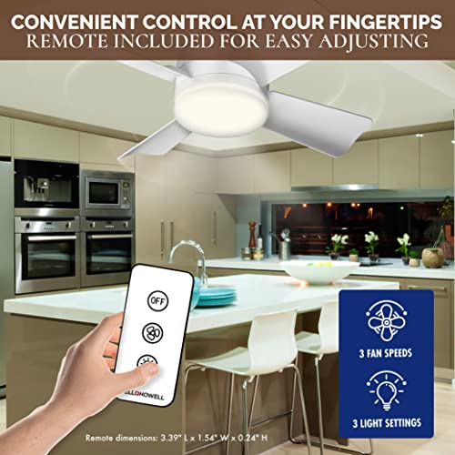 Socket Fan Ceiling Fan with Light, 1000 Lumens Ceiling Fan with Light