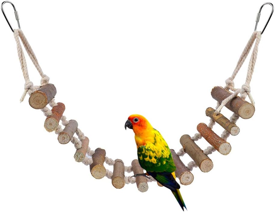 Parrot Ladder