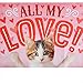Hallmark Funny Valentine's Day Card for Mom, Something Small (Unfolds to Giant Poster)