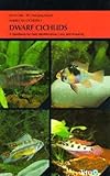 Dwarf Cichlids (American Cichlids) by