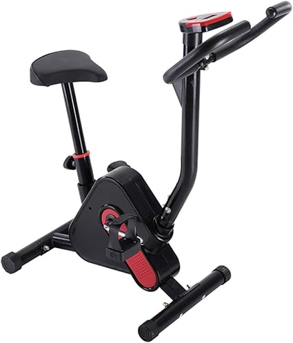 spin bike weight loss