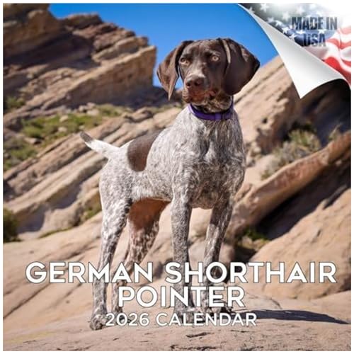 German Shorthair Pointer Calendar 2026 by MegaCalendars – Monthly Dog Breed Wall Calendar, Made in USA — image 1