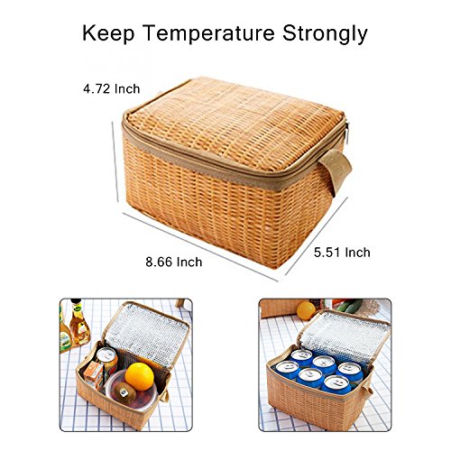 Insulated Lunch Tote Bag Large Capacity for Women Men Girl Boys Kids Wok