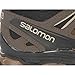 Salomon Men's X Ultra LTR GTX Hiking Shoe