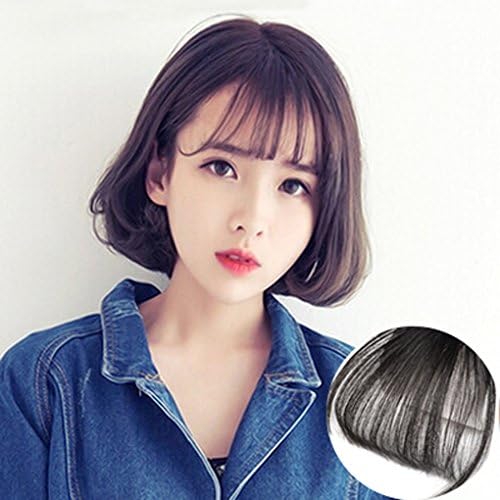 LMHair Clip-in Front Hair Bangs Fake Hair Extension False Hair Piece Clip on Front Bangs for Women (Dark brow)