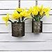 Arbor Lane Rustic Metal Tin Hanging Planter Dippers, Farmhouse Style - Nesting Set of 2