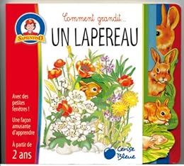 Un  petit lapin