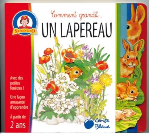 Un  petit lapin