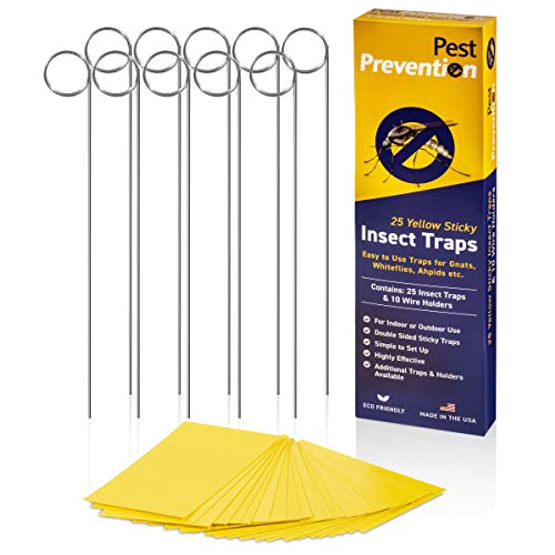 GNAT KILLER TRAP | Long-Lasting Yellow Sticky Insect Traps That Work | Fungus Gnat Killer | Gnat Control Indoor and Outdoor Trap | Whitefly | Aphid | 25 Dual-Sided Traps & 10 Wire Holders