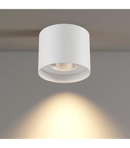 ilucezzo Ceiling Light Fixture, Flush Mount Ceiling Lights