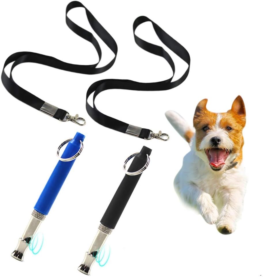 lanyard for dog training