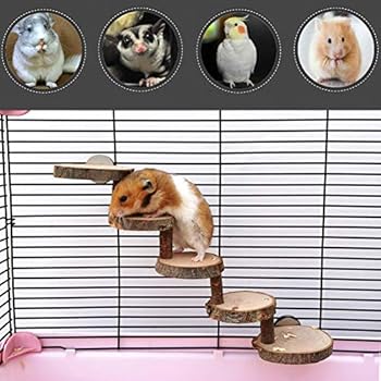 ZARYIEEO Hamster Wooden Ladder, Small Pets Chewing Toys for Sugar Glider, Mouse, Chinchilla, Rat, Gerbil and Dwarf Hamster, Wooden Cage Supplies for Birds Parrot Guinea Pigs