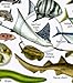 Fishwatchers Reef Field Guide: Fishes of Tropical Atlantic & Caribbean ID Card