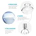 LANMU Molded Glass Table Torch, Outdoor Patio Garden Torch, DIY Skeleton Tabletop Decor, Skull Torch for Party/ Halloween/ Thanksgiving/ Christmas