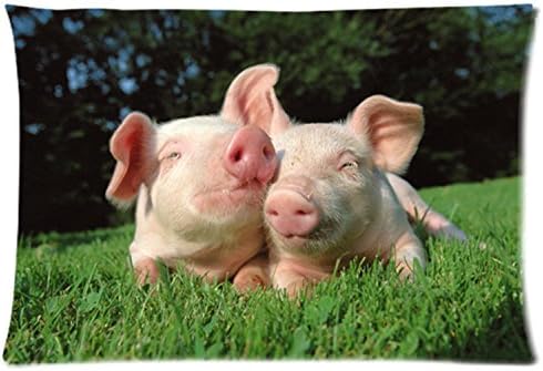 Home Decorative Polyester Pillow Case Animals Funny Weasels Pig Pair Grass Lie 12 x 20 Inches