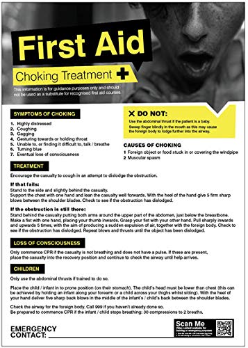 Caledonia Signs 55904 First Aid Choking Poster, 420 mm x 594 mm