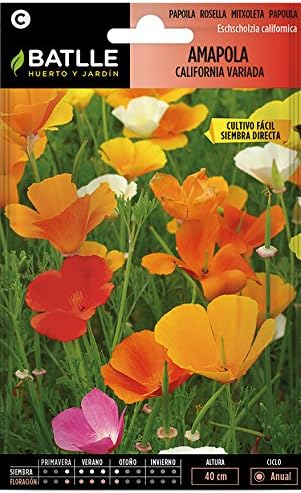 Semillas de Flores - Amapola California variada - Batlle: Amazon ...