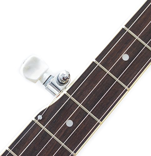 2 String+Resonator+Brackets+Closed+Resoluute