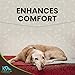 K9 Nature Supplements: Nature’s Aches Away - 55 Soft Chews for Dogs - Advanced Formula for Pet Mobility & Joint Pain Support - Natural, Herbal Treats - with Willow Bark Extract, Cat’s Claw & Fish Oil