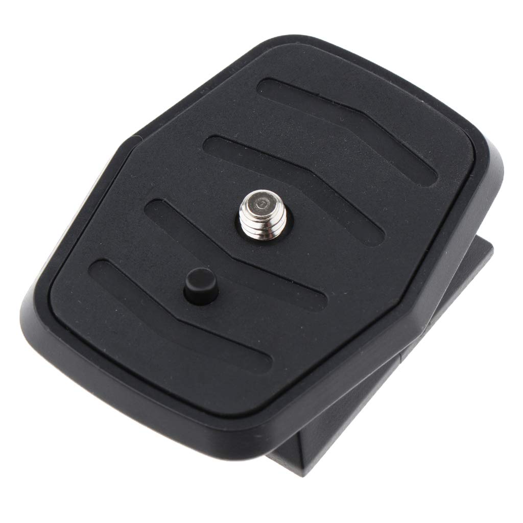 Buy Camera Tripod Head Quick Release Plate QR Plate Replacement, Quick