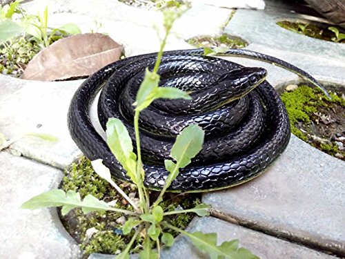 Realistic Rubber Black Mamba Snake 52 Inch Long,Scare Toy, by Brandon-super