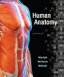Human Anatomy