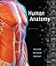 Human Anatomy