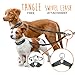 Mighty Paw Double Dog Leash - Double Leash for Two Dogs No Tangle Design. Split Lead for 2 Pets. Adjustable to Fit All Sized Breeds. Reflective Dual Pet Lead for People with Multiple Pups