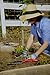 Corona CT 3224 ComfortGEL Transplanter , Red